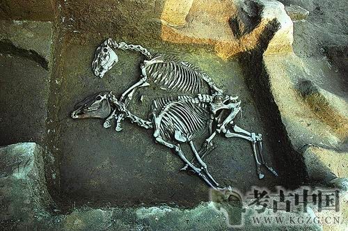 【索引】2009年度中国十大考古新发现名录